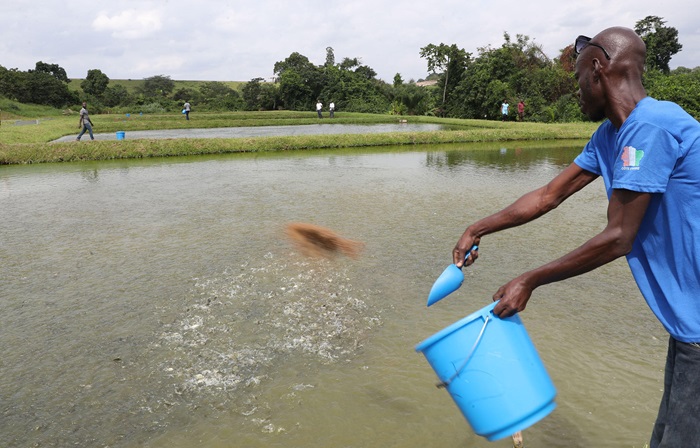 Côte d’Ivoire-Autosuffisance alimentaire : Des projets à l’endroit des femmes et des jeunes pour renforcer la production animale et halieutique Côte d’Ivoire-Autosuffisance alimentaire : Des projets à l’endroit des femmes et des jeunes pour renforcer la production animale et halieutique